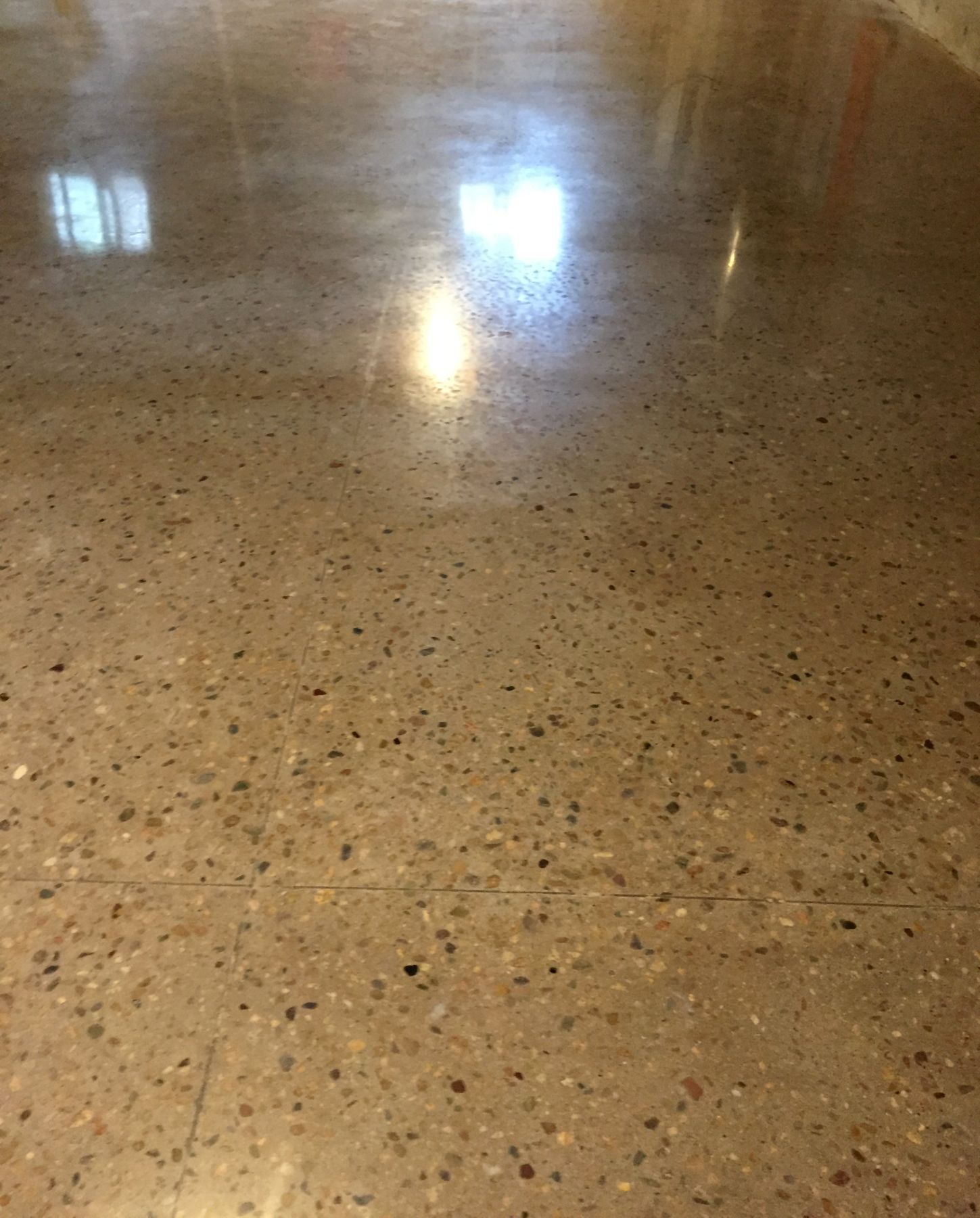 Close view of glossy polished concrete floor with exposed tan aggregate stones and saw cut joints