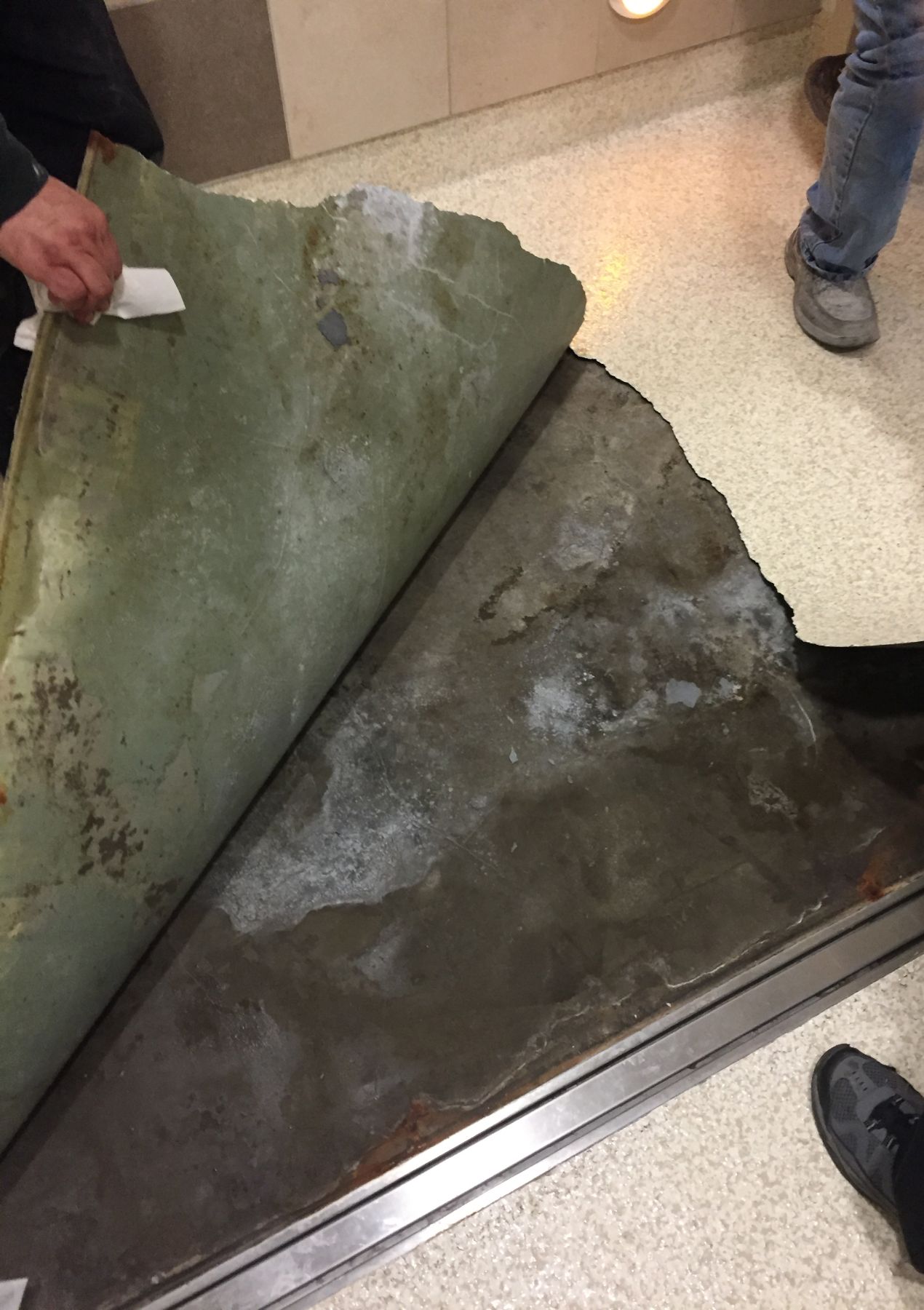 Peeled-back failed waterproof flooring membrane exposing damaged bare concrete with corrosion beneath a speckled tan floor